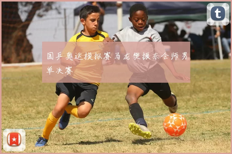 国乒奥运模拟赛马龙樊振东会师男单决赛