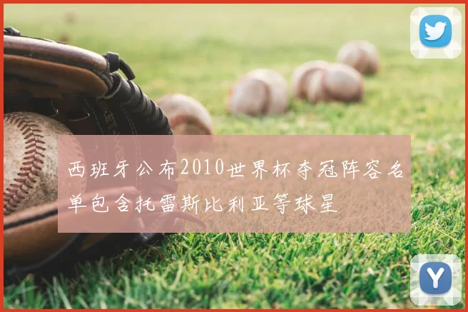 西班牙公布2010世界杯夺冠阵容名单包含托雷斯比利亚等球星